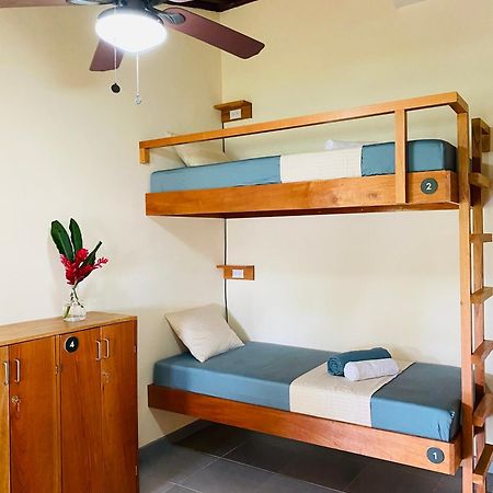 El Hostel Del Patio Tortuguero Luaran gambar