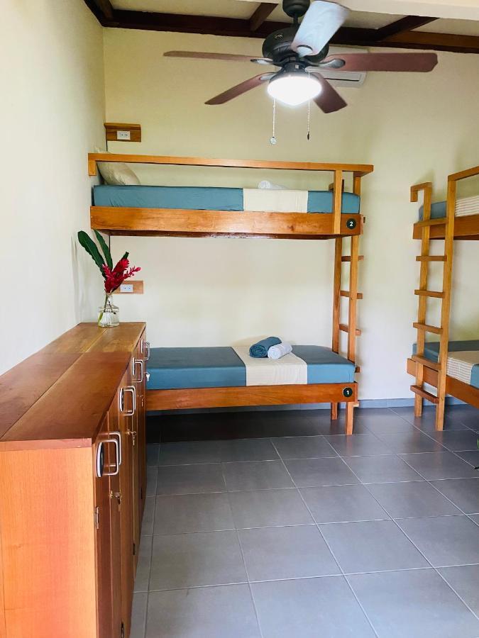 El Hostel Del Patio Tortuguero Luaran gambar