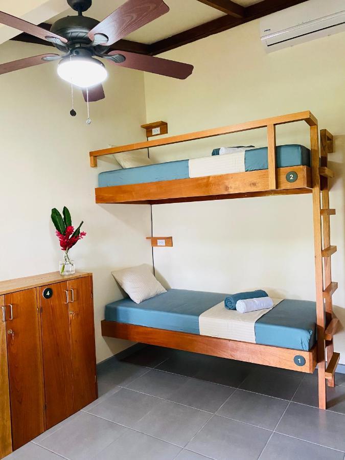 El Hostel Del Patio Tortuguero Luaran gambar