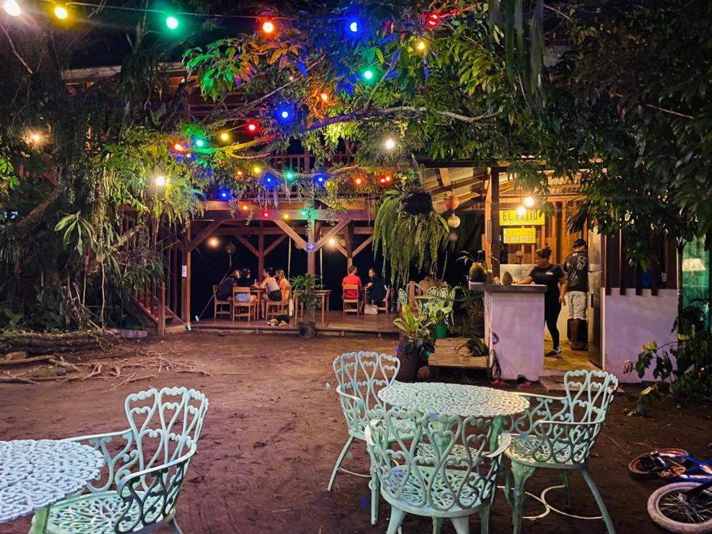 El Hostel Del Patio Tortuguero Luaran gambar