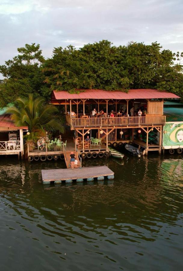 El Hostel Del Patio Tortuguero Luaran gambar