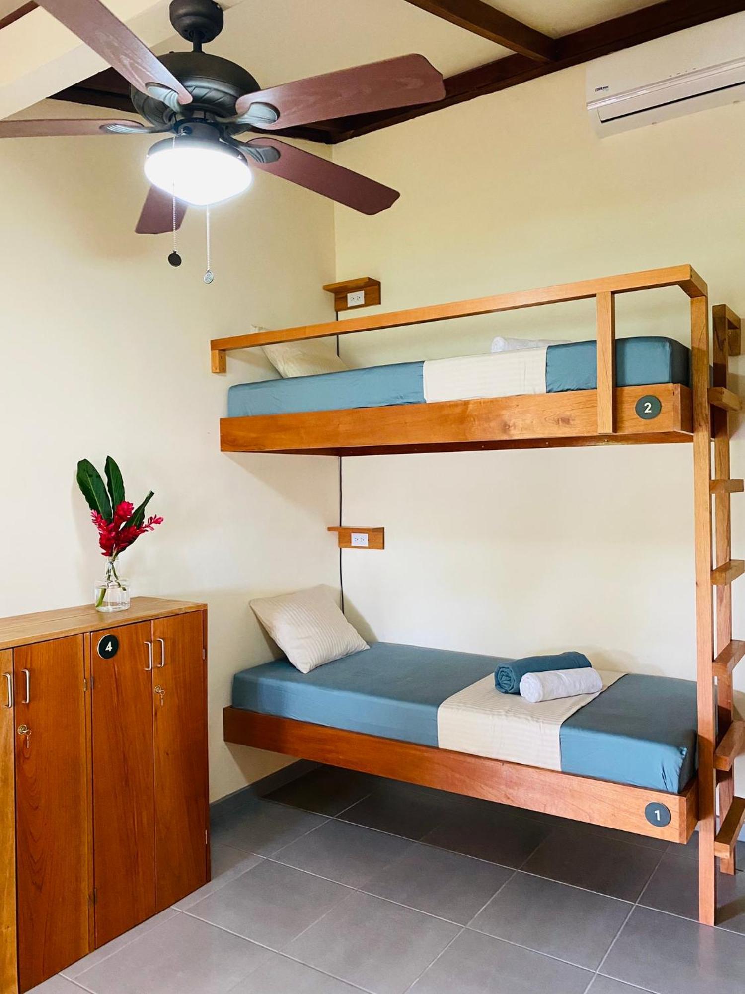 El Hostel Del Patio Tortuguero Luaran gambar
