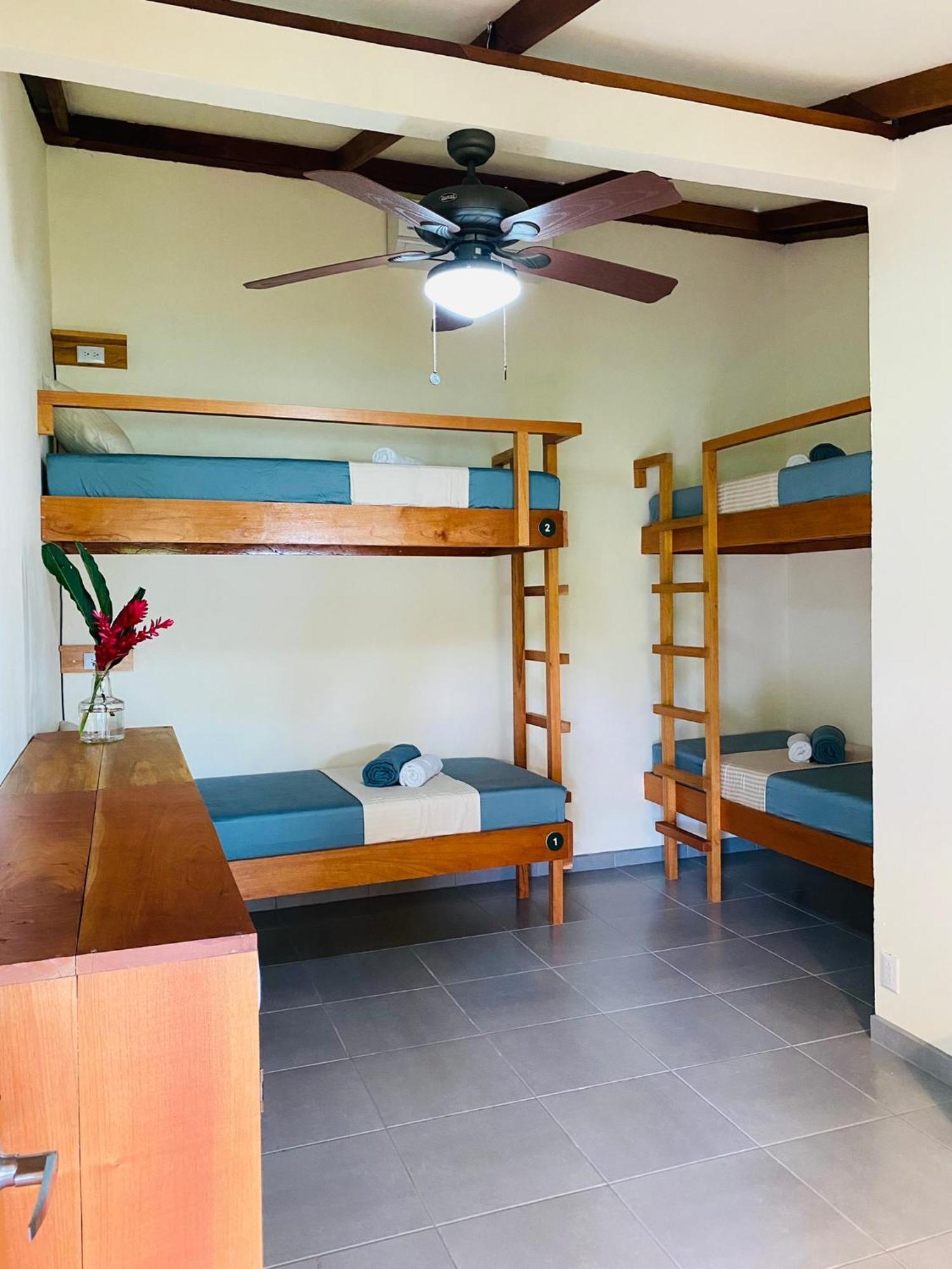 El Hostel Del Patio Tortuguero Luaran gambar